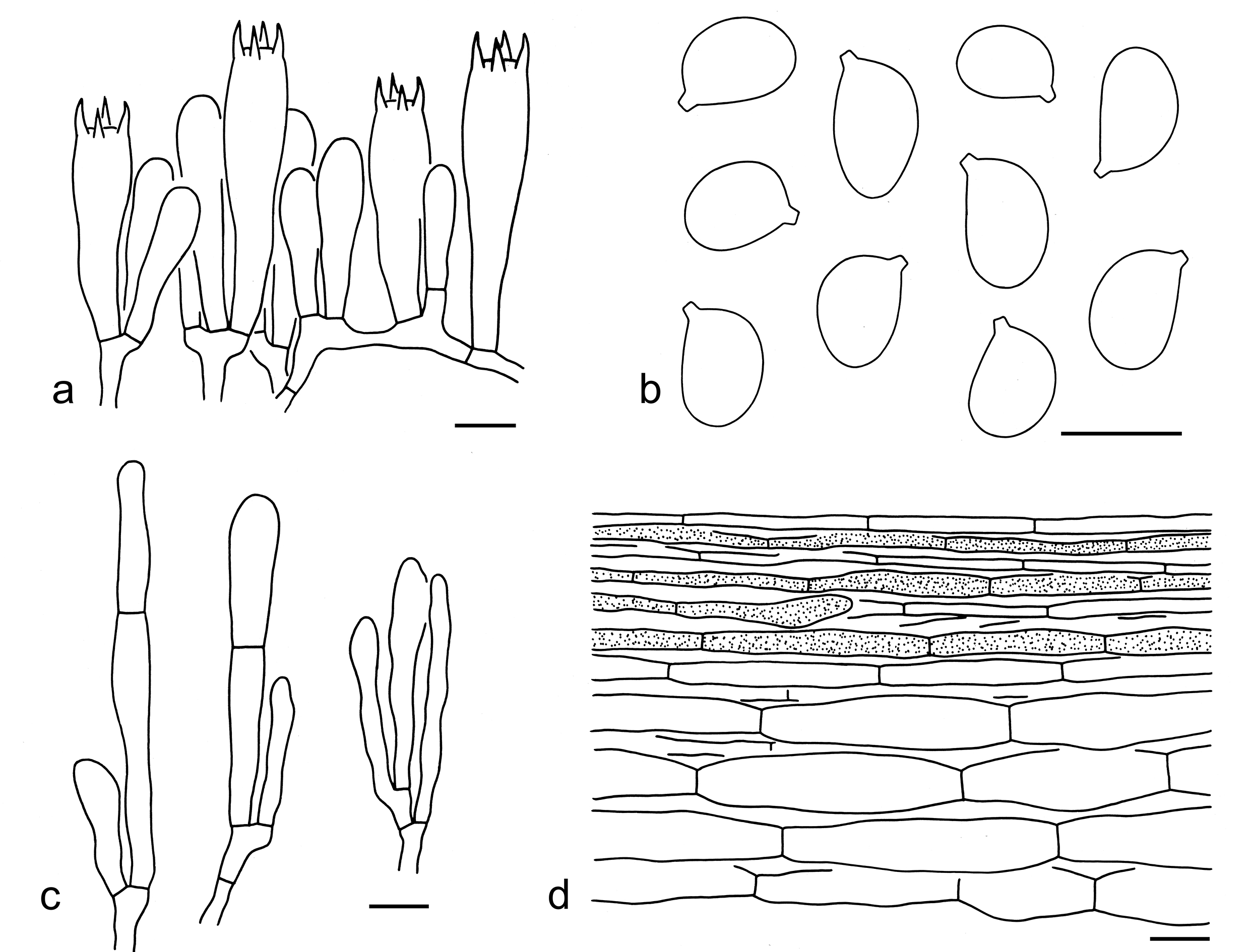 Figure 31